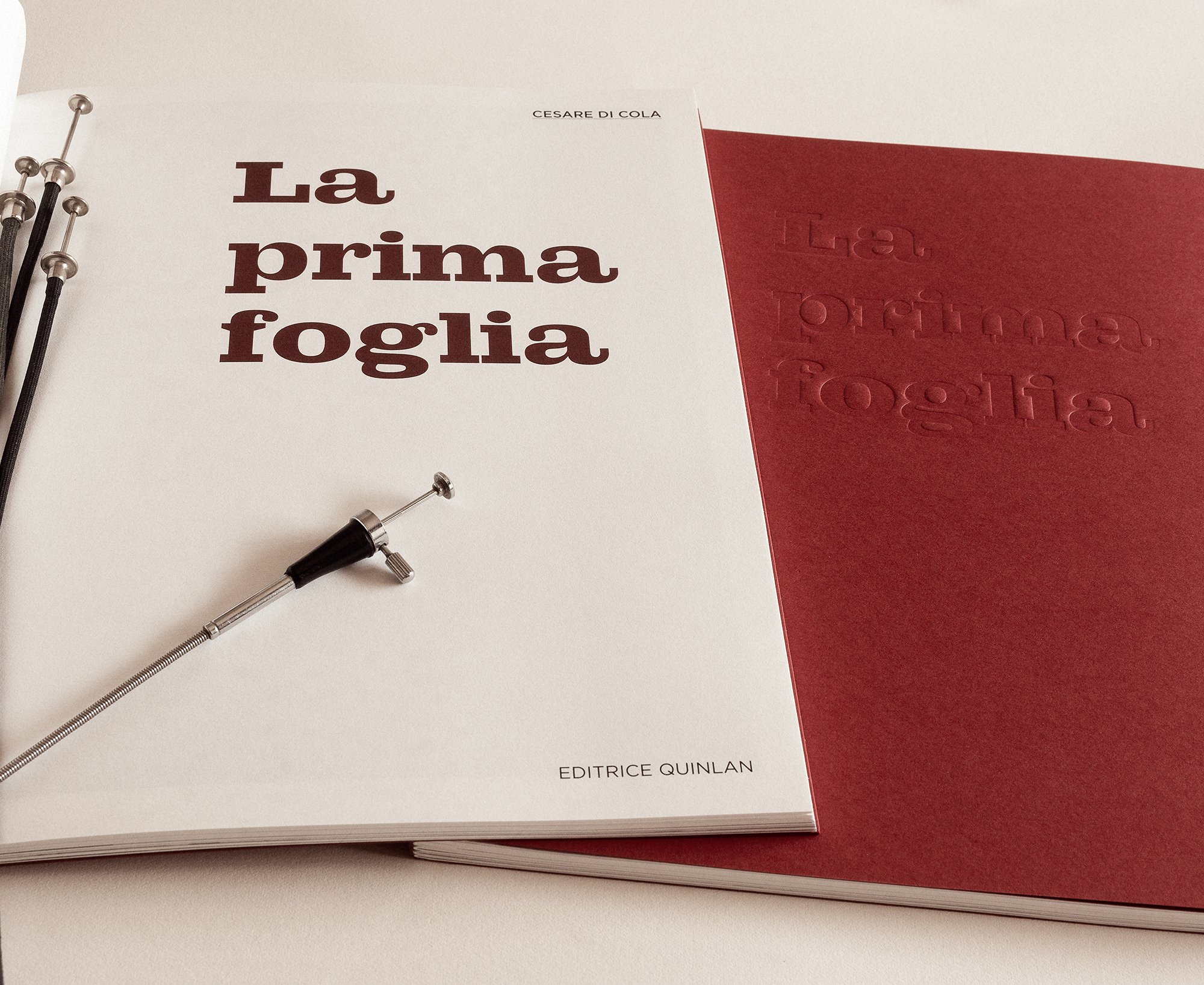 Angela Madesani seleziona e recensisce su Artribune "La prima foglia" di Cesare Di Cola.